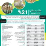 علف حملان %21 – 50 كيلوجرام
