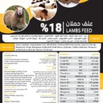 علف حملان 18 – 50 كجم
