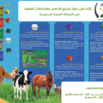 حجر ملحي أحمر( حديد ) 10 كيلوجرام