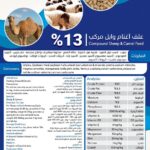 13% علف أغنام وابل مركب